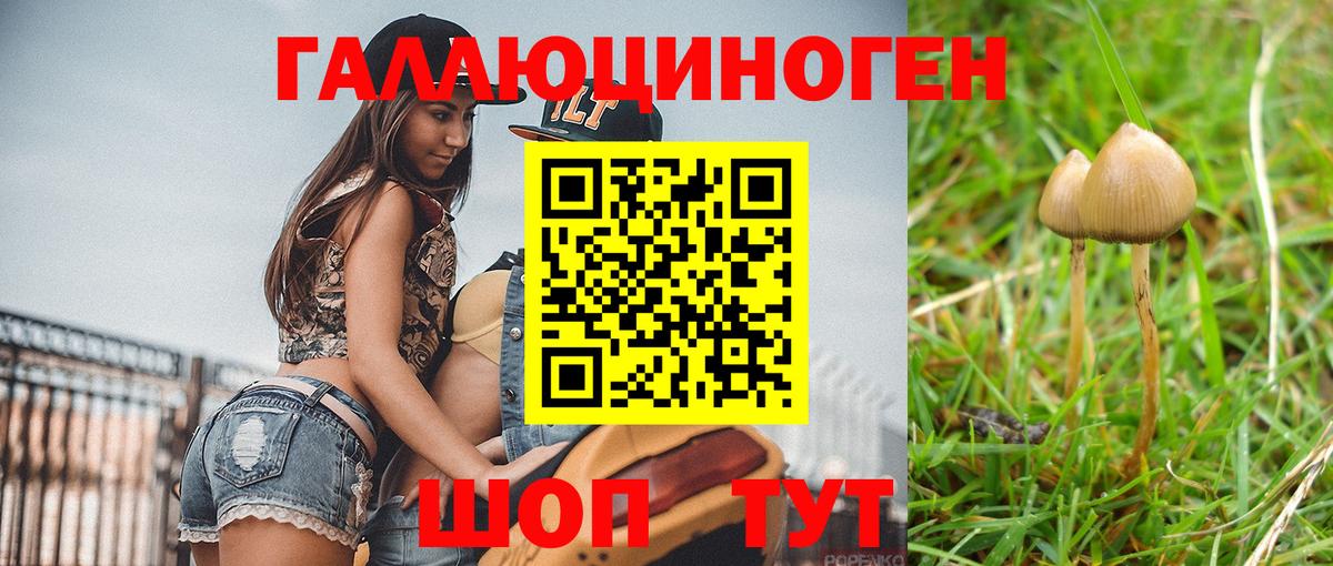 Галлюциногенные грибы Cubensis Майкоп