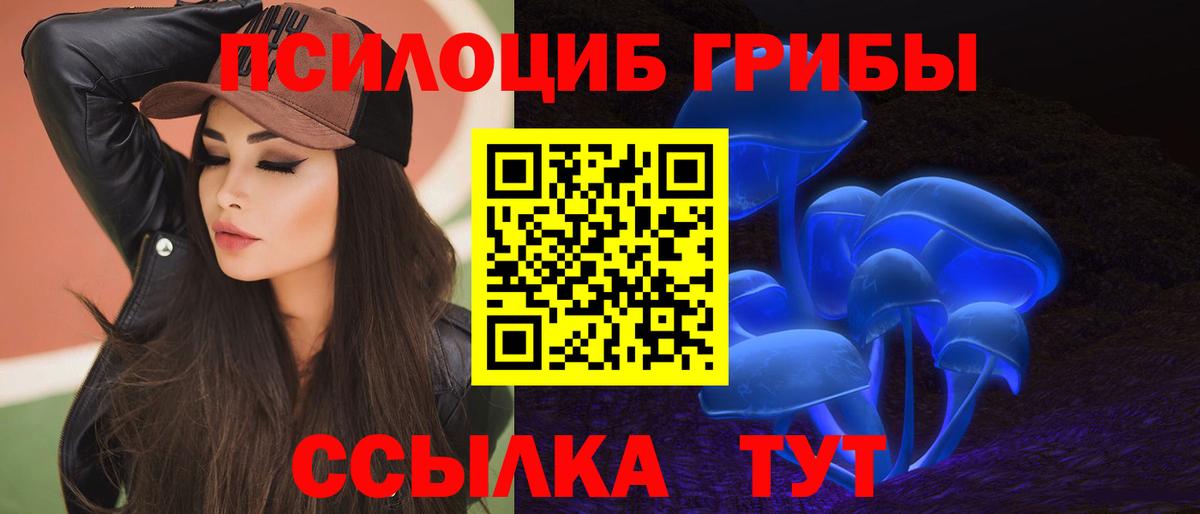 Майкоп  Псилоцибиновые грибы Cubensis  Вход с VPN 
